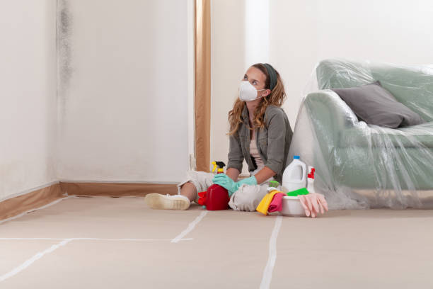 Reliable Mold Remediation contractor in Bohemia, NY by WQB Mold Removal